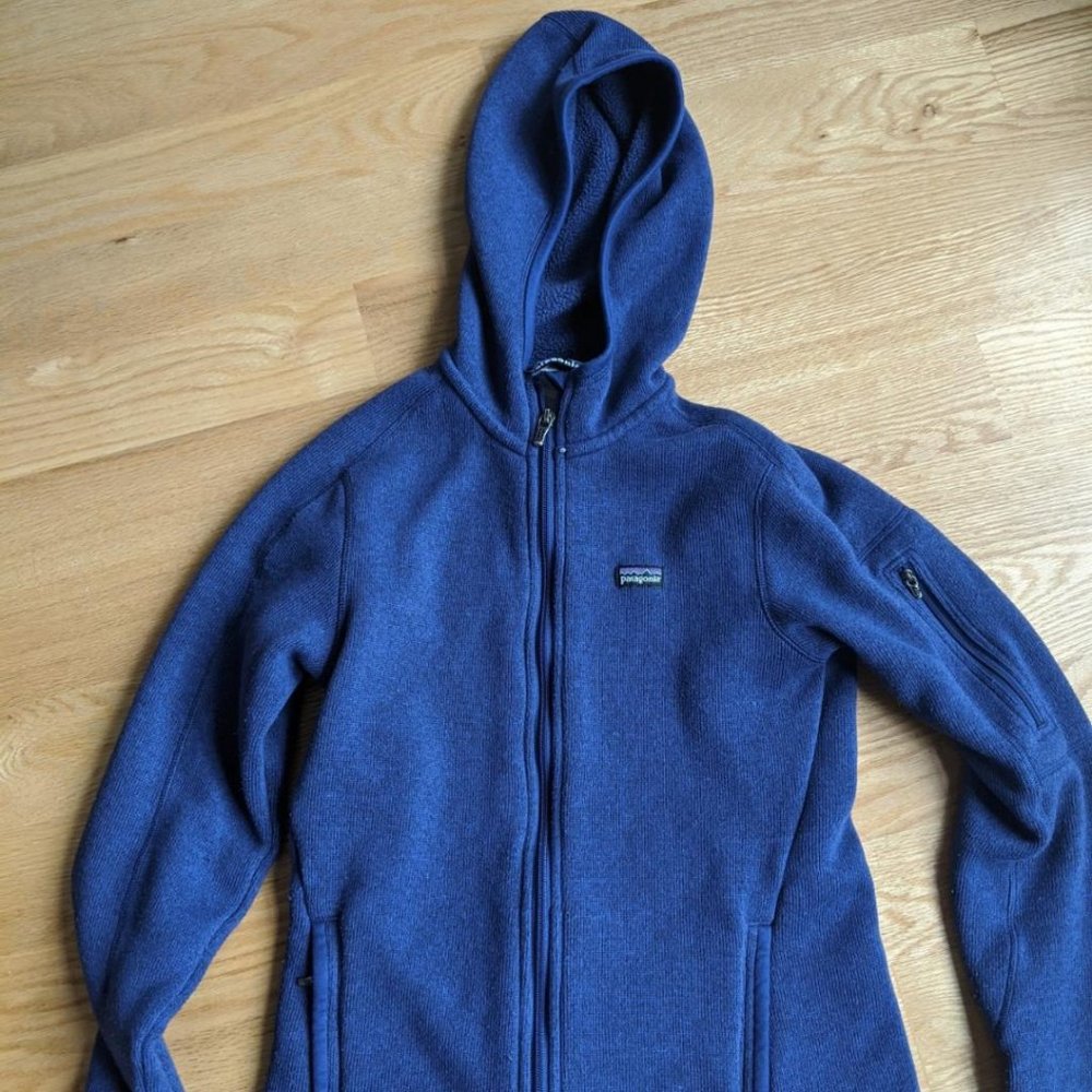 Patagonia Hooded Better Sweater